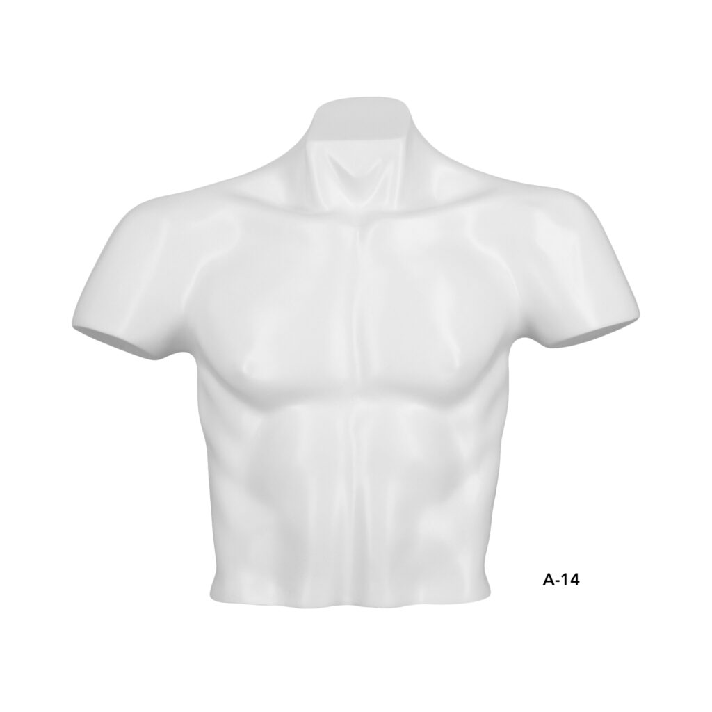 busto corto de hombre mod. A-14